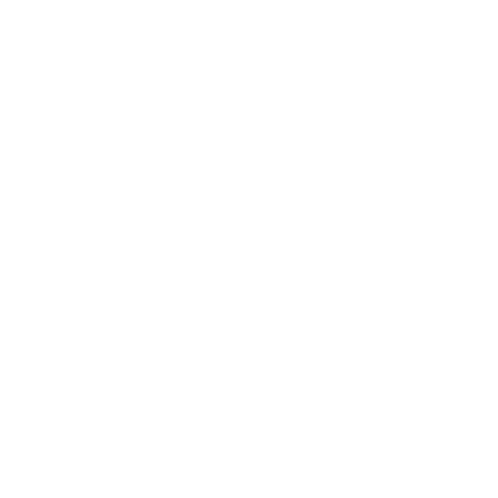 Kalmon Logo